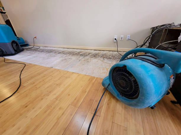 Professional Water Damage Repair technician working in Burns, CO